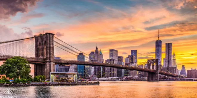 New York City travel guide