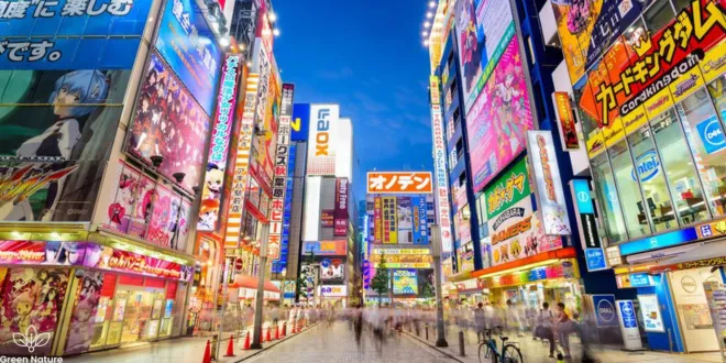 Tokyo culture and technology