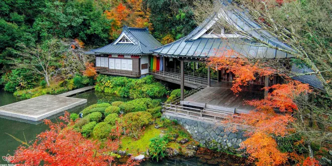6 Best Ryokans in Japan for an Unforgettable Stay