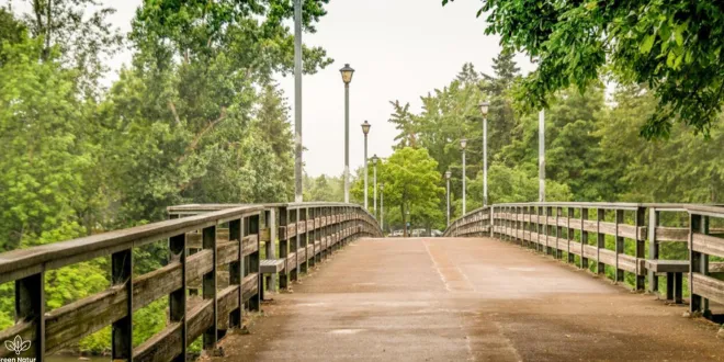Top bike cities in America