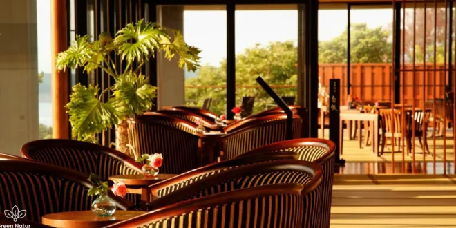 Best Ryokans in Japan for Rejuvenation