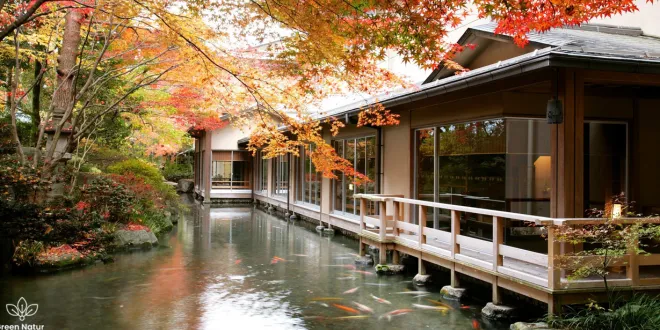 Best Ryokans in Japan for Rejuvenation