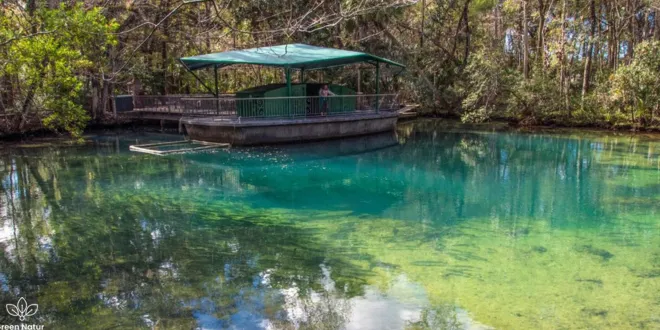 family cabin vacations USA