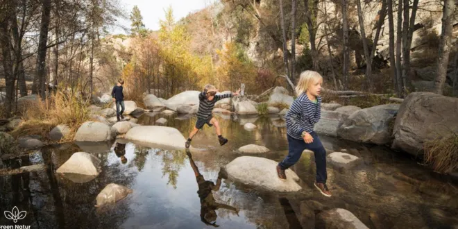 family cabin vacations USA