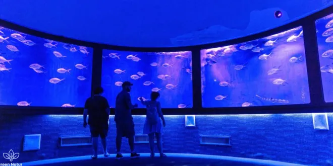 things to do in Orlando with kids