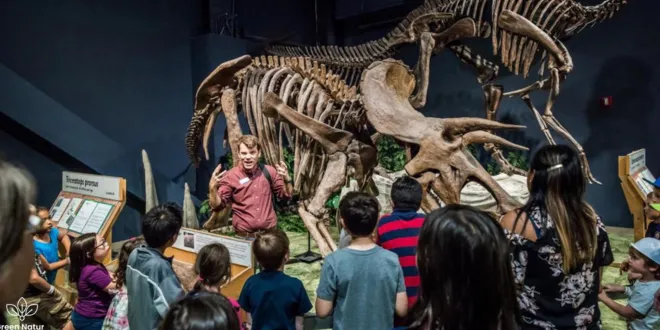 things to do in Orlando with kids