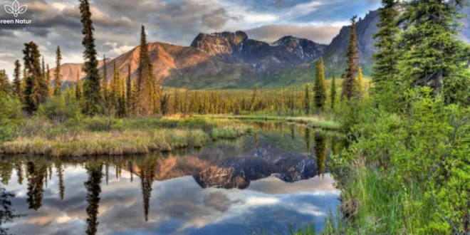 10 luxurious glamping spots in the US