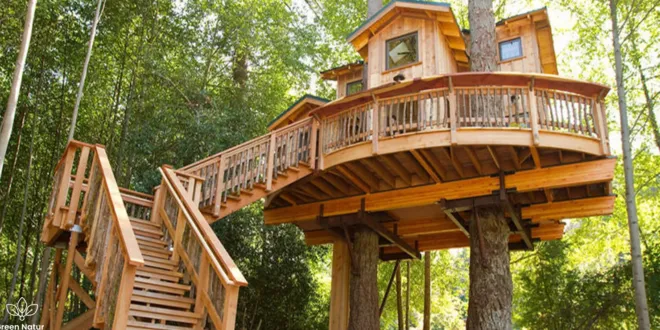 luxury treehouses
