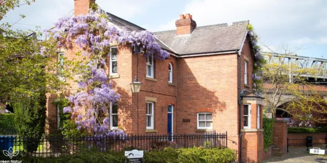 unique European houses