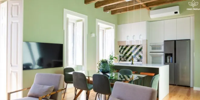 luxurious European homes