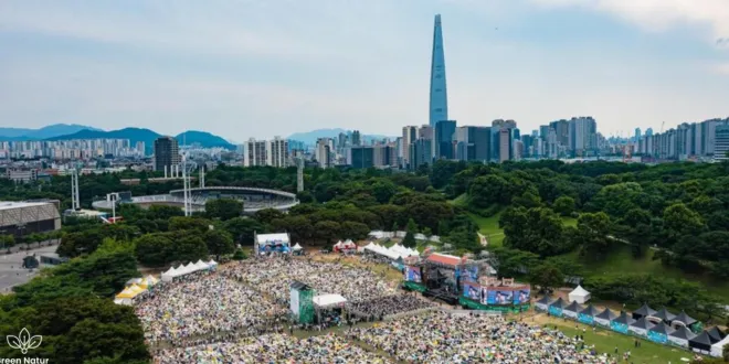 summer music festivals in South Korea