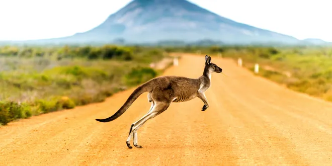 What to Pack for Australia A Complete Checklist for Every Season
